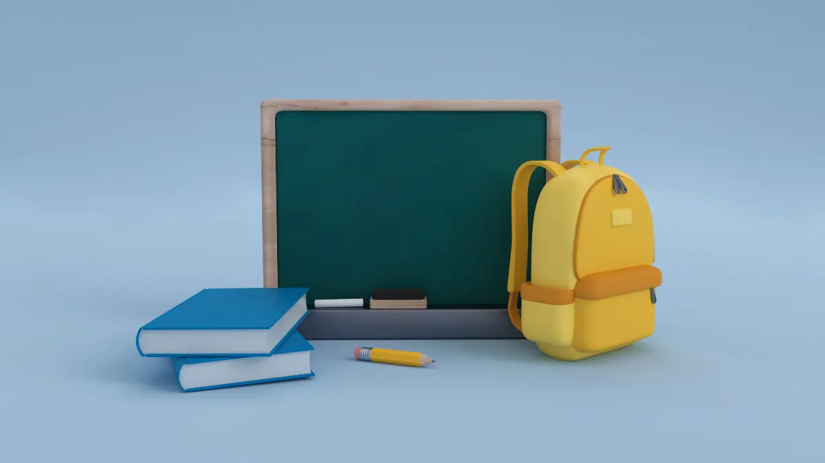 What K-12 learning platforms are the districts using now?